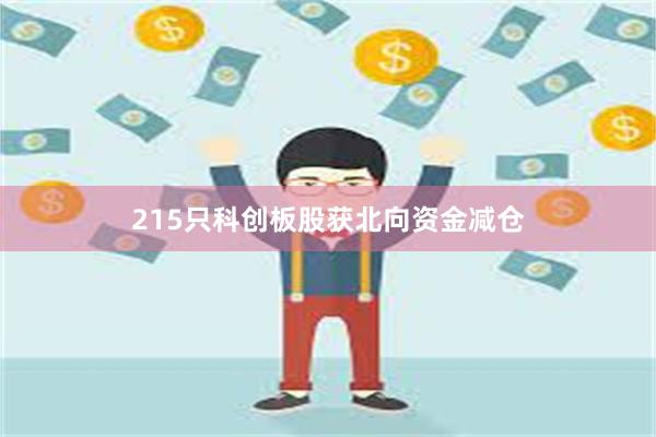 215只科创板股获北向资金减仓