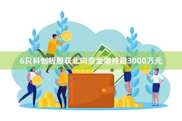 6只科创板股获北向资金增持超3000万元