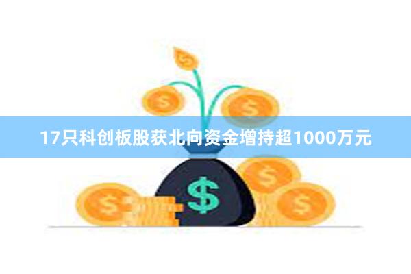 17只科创板股获北向资金增持超1000万元