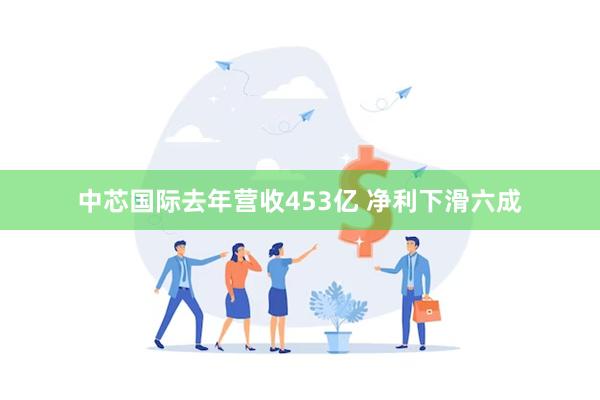 中芯国际去年营收453亿 净利下滑六成