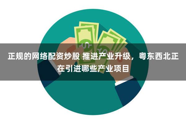 正规的网络配资炒股 推进产业升级，粤东西北正在引进哪些产业项目