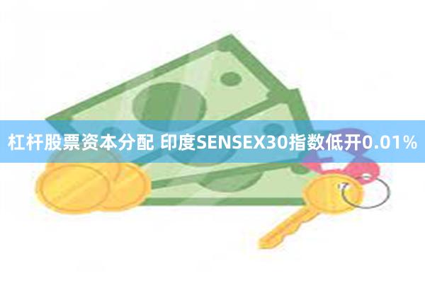 杠杆股票资本分配 印度SENSEX30指数低开0.01%