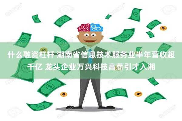 什么融资杠杆 湖南省信息技术服务业半年营收超千亿 龙头企业万兴科技高薪引才入湘