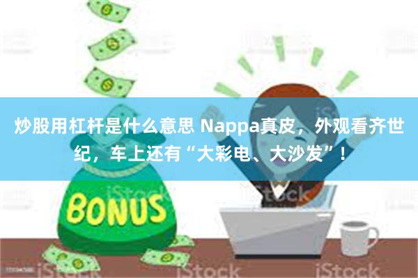 炒股用杠杆是什么意思 Nappa真皮，外观看齐世纪，车上还有“大彩电、大沙发”！