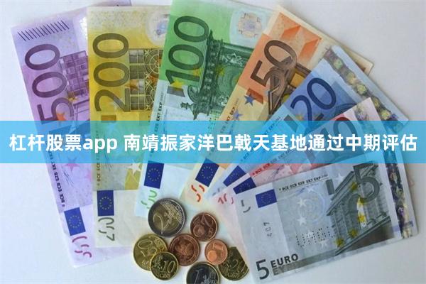 杠杆股票app 南靖振家洋巴戟天基地通过中期评估