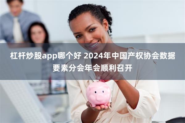 杠杆炒股app哪个好 2024年中国产权协会数据要素分会年会顺利召开