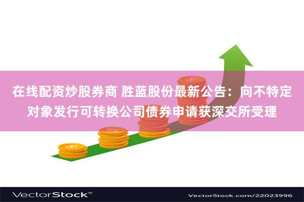 在线配资炒股券商 胜蓝股份最新公告：向不特定对象发行可转换公司债券申请获深交所受理